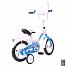 Rich Toys Aluminium BA Ecobike 12"