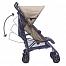 EasyWalker Buggy